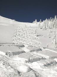 Featured Image -- 771